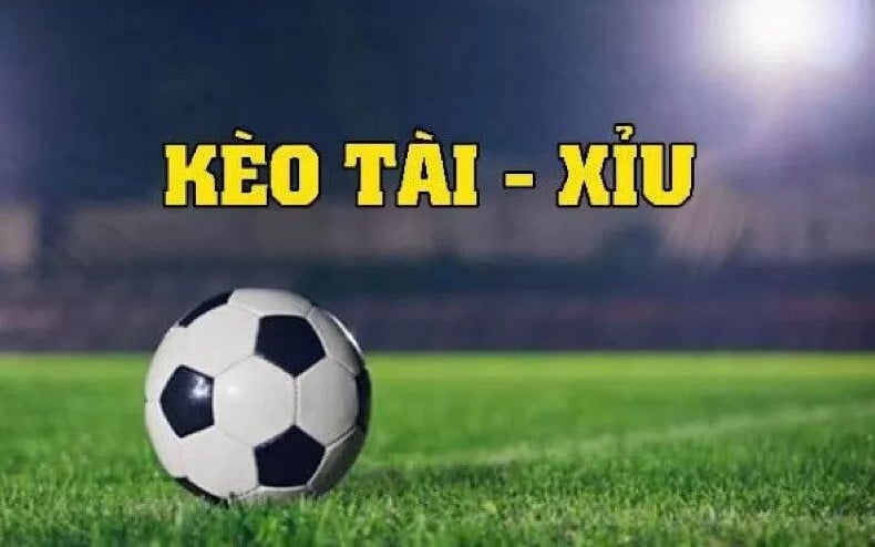 Cách tính tỷ lệ kèo bóng đá kèo tài xỉu chi tiết nhất 1 Cách tính tỷ lệ kèo bóng đá kèo tài xỉu chi tiết nhất