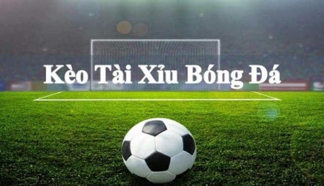 Cách tính tỷ lệ kèo bóng đá kèo tài xỉu chi tiết nhất 2 Cách tính tỷ lệ kèo bóng đá tài xỉu chi tiết nhất