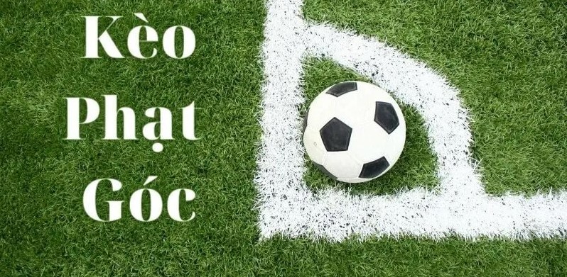 Tìm hiểu về tỷ lệ kèo bóng đá phạt góc thơm nhất 1 Tìm hiểu về tỷ lệ kèo bóng đá phạt góc thơm nhất